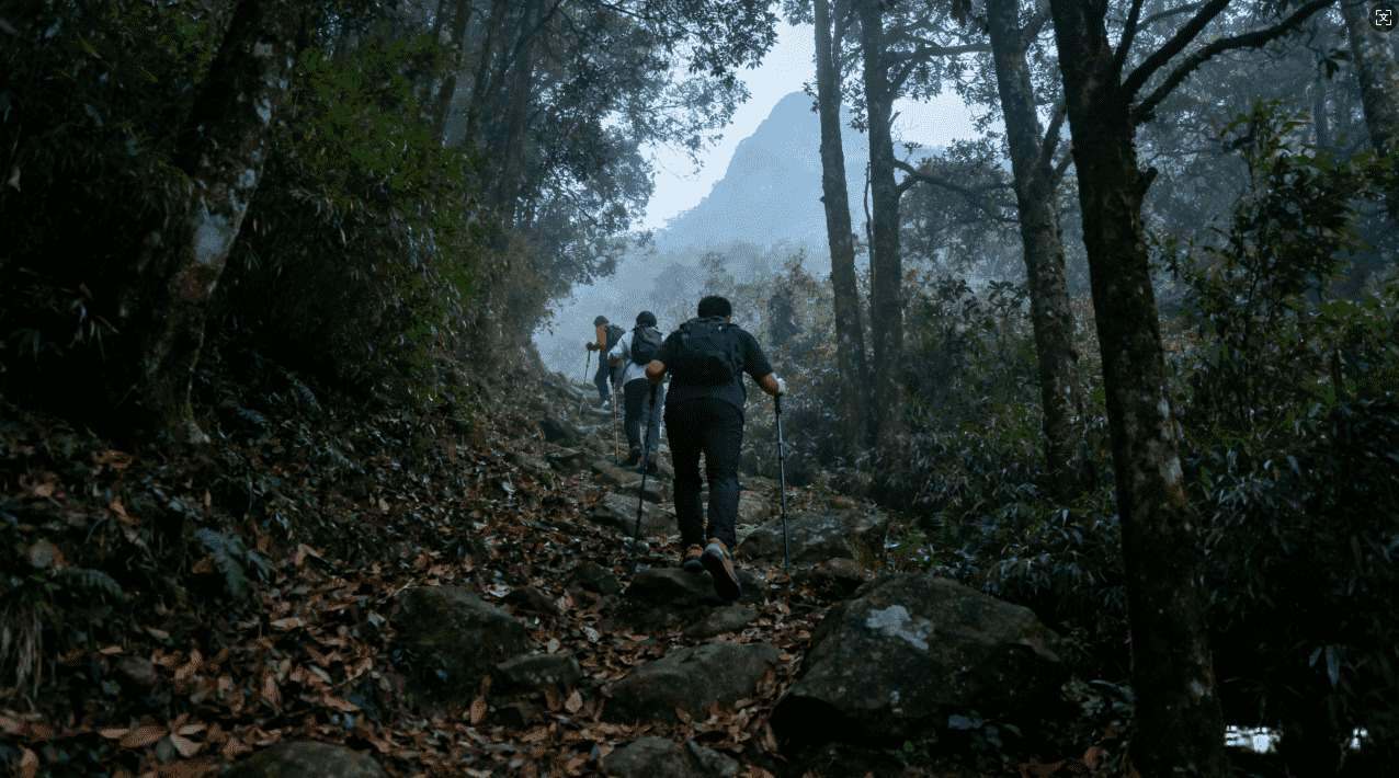 芒果加速器巴士最新版本免费下载方法解析